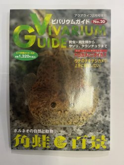 画像1: ビバリウムガイド　NO.20（中古本）