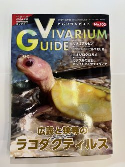 画像1: ビバリウムガイド　NO.103（中古本）