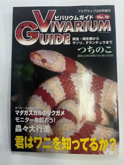 画像1: ビバリウムガイド　NO.16（中古本）