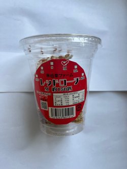 画像1: レッドローチ　Mサイズ　（約150匹）