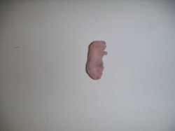画像1: 冷凍ピンクマウス　Ｓ　1匹