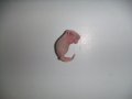 冷凍ピンクマウス　Ｌ　1匹