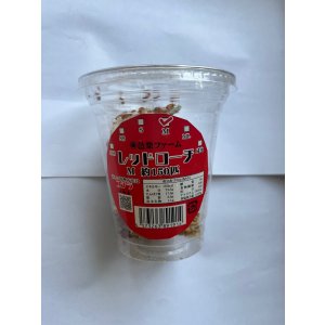 画像: レッドローチ　Mサイズ　（約150匹）