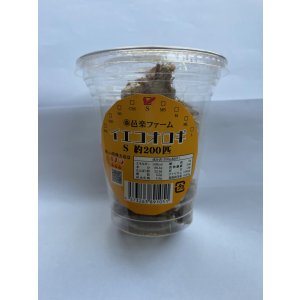 画像: ワンコインイエコ　S　約200匹