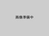 画像: スクエアパック　ＳＮ-750Ｂ　100ヶ入