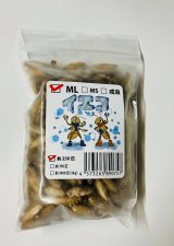 画像: 冷凍イエコ　MＬサイズ　約250匹