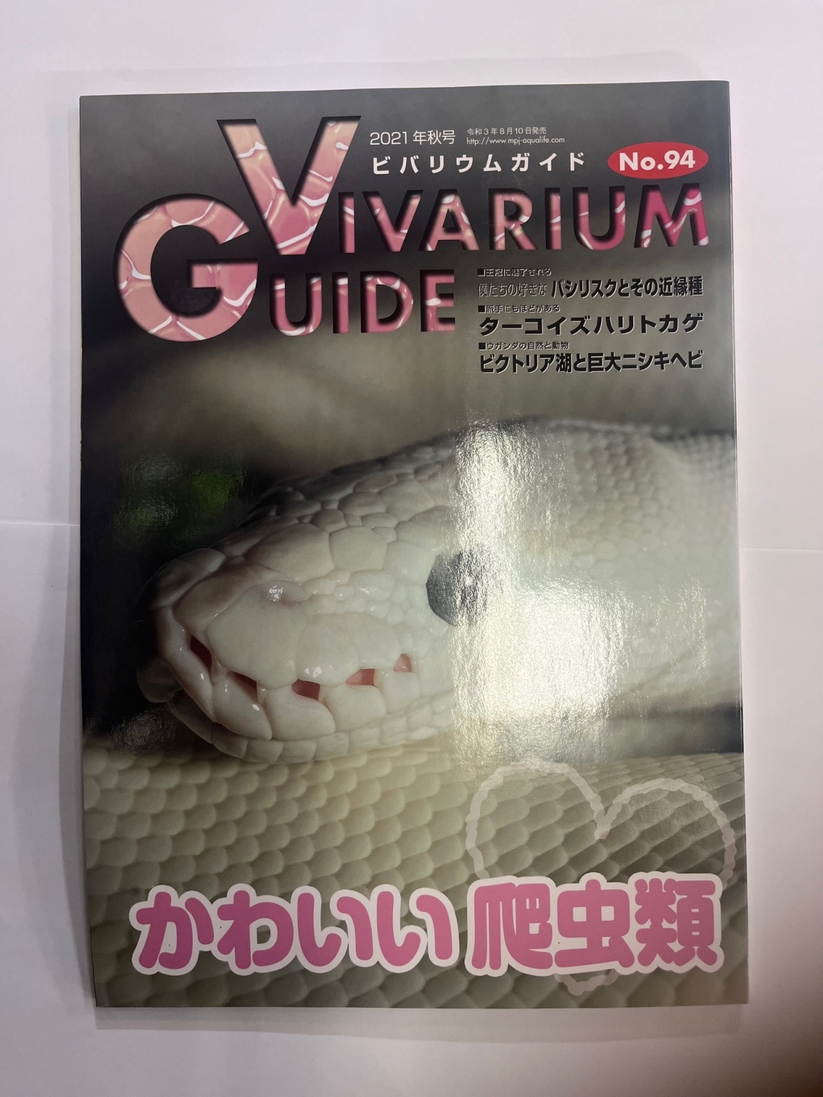 画像1: ビバリウムガイド　NO.94（中古本）