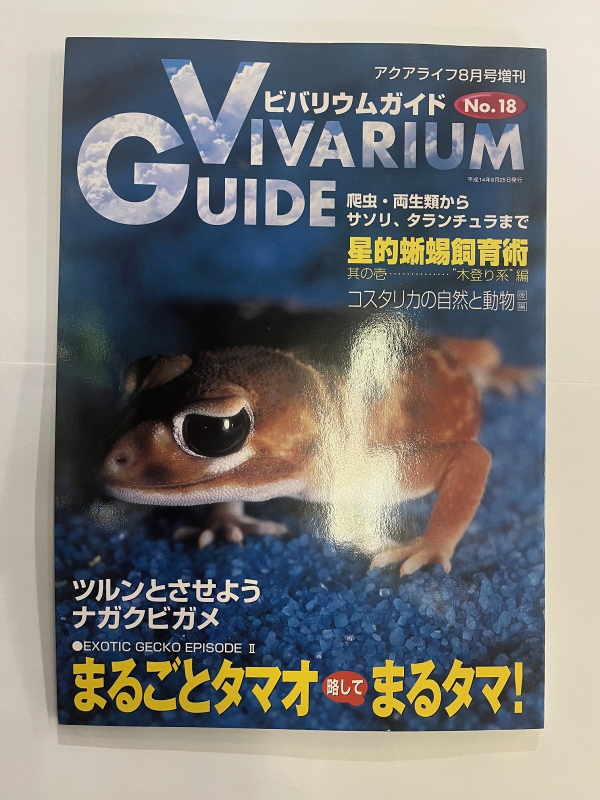 画像1: ビバリウムガイド　NO.18（中古本）