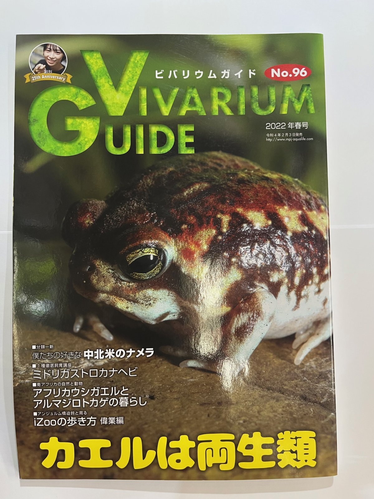 画像1: ビバリウムガイド　NO.96（中古本）