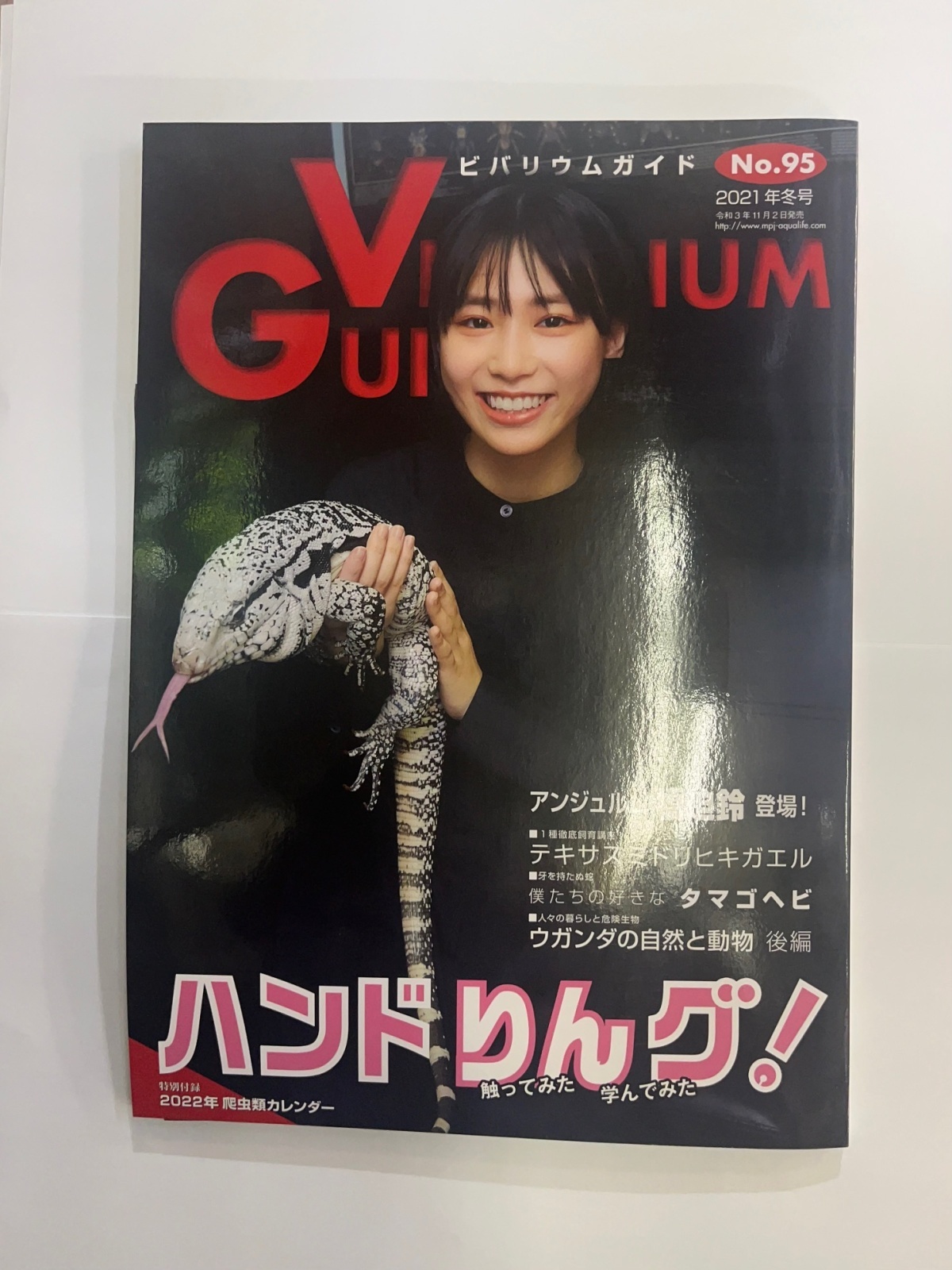 画像1: ビバリウムガイド　NO.95（中古本）